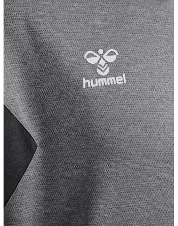 hmlAUTHENTIC PL HOODIE