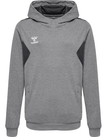 hmlAUTHENTIC PL HOODIE KIDS